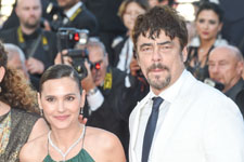 Virginie Ledoyen, Benicio Del Toro