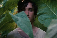 HEUREUX COMME LAZZARO